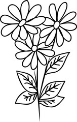 Line art flower. Line art hand drawn stile linear flower. PNG with transparent background