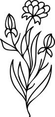 Line art flowers Drawing. Black Sketch of botanical design. PNG with transparent background