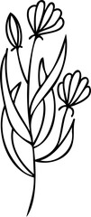 Line art flowers Drawing. Black Sketch of botanical design. PNG with transparent background
