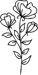 Line art flowers Drawing. Black Sketch of botanical design. PNG with transparent background