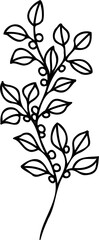 Obraz premium Line art flowers Drawing. Black Sketch of botanical design. PNG with transparent background