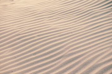 Sandstone natural texture background. sand on the beach as a background. Rippled sand background for summer designs.