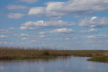Spring landscape with blue sky and reflection of trees in the lake. Tourism and travel concept.