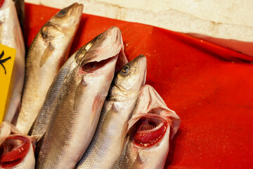 Fresh Sea Bass Fish at the Fish Market