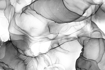 Marble ink abstract art from exquisite original painting for abstract background . Painting was painted on high quality paper texture to create smooth marble background pattern of ombre alcohol ink . © InfiniteFlow