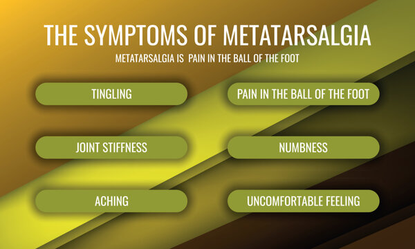 the symptoms of Metatarsalgia. Vector illustration for medical journal or brochure.