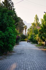 green alley in the turkish europe city