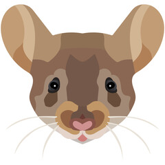Mouse face. An illustration of the muzzle of a beautiful rat is depicted. Bright portrait on a white background. Vector graphics. animal logo