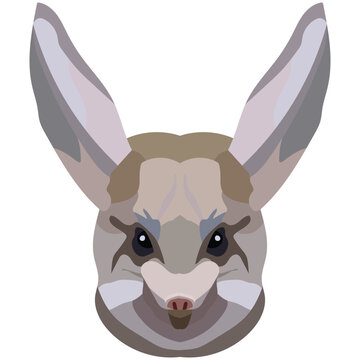 recommend clip art: Jerboa face. An illustration of a muzzle of a rodent is depicted. Bright portrait on a white background. Vector graphics. animal logo