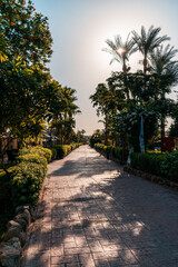 alley in the park in sharm el sheikh