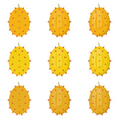 A vector drawn kiwano illustration with various colors and amount of details