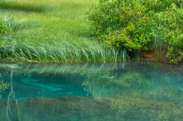 Clear waters of a small lake on a rainy day in Zelenci nature reserve, Slovenia