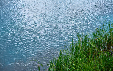 Clear waters of a small lake on a rainy day in Zelenci nature reserve, Slovenia