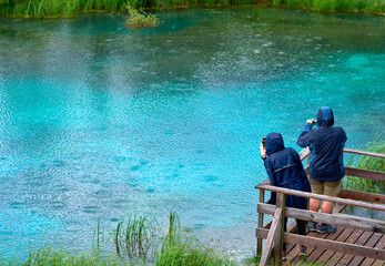 Clear waters of a small lake on a rainy day in Zelenci nature reserve, Slovenia