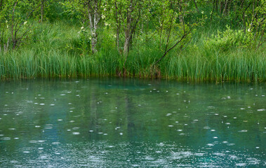 Clear waters of a small lake on a rainy day in Zelenci nature reserve, Slovenia