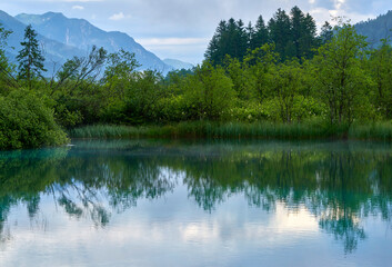 Obraz premium Clear waters of a small lake on a rainy day in Zelenci nature reserve, Slovenia