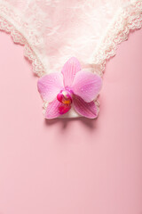 The concept of the reproductive organs of a woman, the vagina in the form of panties.