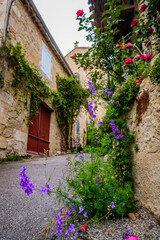 Fototapeta na wymiar Flowery street of the small village of Lavardens in the south of France (Gers)