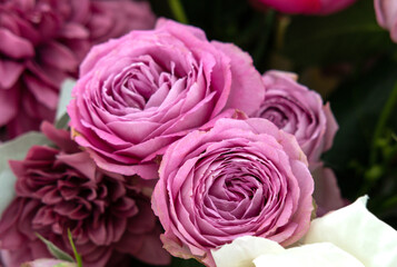 pink roses wedding decoration