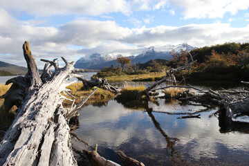 Obraz premium Paisaje