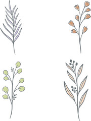 Botanical color illustrations, vector set with drawn leaves, herbs and flowers, collection of flowers isolated on a white background