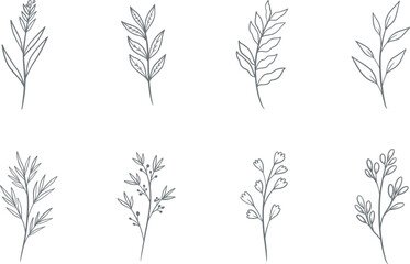 Set of hand drawn doodle floral elements. vector graphic botanical elements