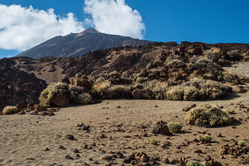 Teide National Park Tenerife Canary Islands, Spain