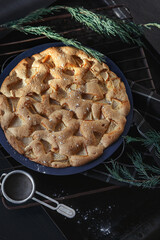 Traditional appetizing apple pie sharlotka sprinkled with powdered sugar on dark background of vintage old oven grate and baking sheet, with strainer and juniper branches,  vertical flatlay in low key