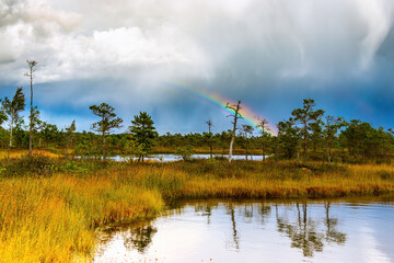 The beauty of nature. Landscape of a national park before a thunderstorm. Heavy white beautiful blue clouds, bright rainbow, blue lake and green grass and trees.Nature before the storm.Warm summer day