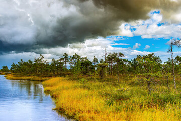 Nature before the storm.Warm summer day.The beauty of nature. Landscape of a national park of Latvia before a thunderstorm.Heavy dark beautiful blue clouds,blue lake or river and green grass and trees