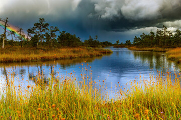 Landscape of national park before a thunderstorm.The beauty of nature.Heavy dark beautiful blue clouds,bright rainbow,blue river or lake, grass and green trees.Nature before the storm.Warm summer day