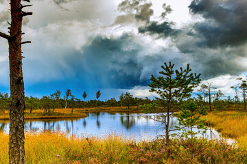 Nature before the storm.Warm summer day.The beauty of nature. Landscape of a national park of Latvia before a thunderstorm.Heavy dark beautiful blue clouds,blue lake or river and green grass and trees