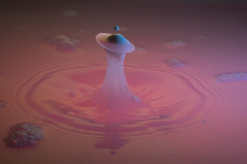 Macro Wassertropfen 