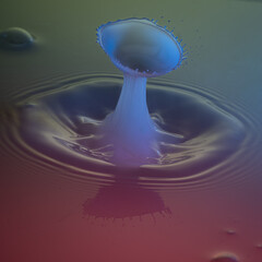 Macro Wassertropfen 