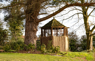 Rustic wooden shelter