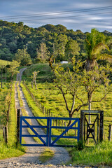 Blue farm gate with dirt road and trees in countryside of Sao Paulo state, Brazil