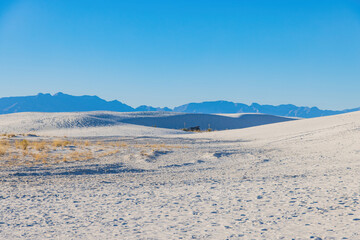 Sunny view of the landscape with some footprints in White Sands National Park