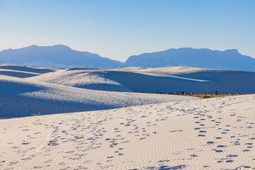 Sunny view of the landscape with some footprints in White Sands National Park
