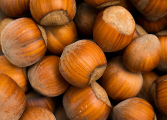 beautiful hazelnuts on a wooden background