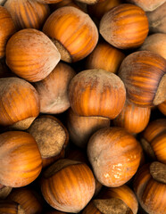 beautiful hazelnuts on a wooden background