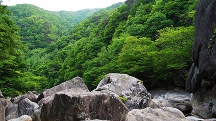 Jirisan Uisin Valley summer scenery in South Korea