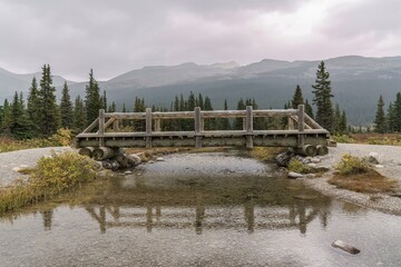 Fototapeta na wymiar A bridge to the beauty of nature