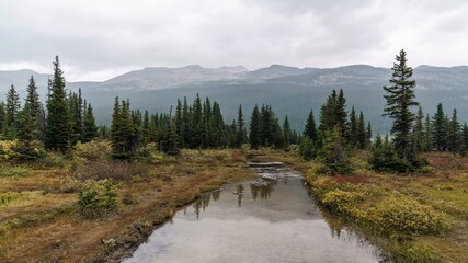 A stream feeding into Bow Lake from the mountains