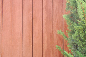 brown wooden floors form a wall.