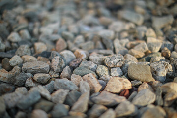 rocks on the ground textured material