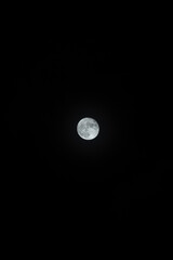 full moon in the night