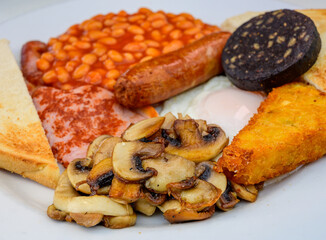 White board with full English breakfast with bacon, fried egg, beans, tomato, roasted sausage, black pudding, scons, hash browns and fried mushrooms