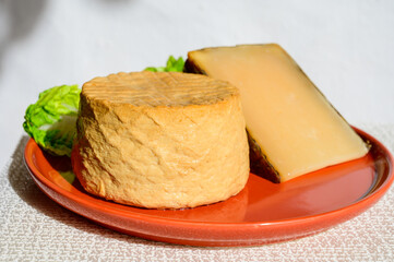Spanish cheeses collection, pieces of smoked and old matured goat cheeses