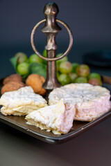 French cheeses collection, Saint-F&eacute;licien and saint-marcellin cow's milk cheese from Rh&ocirc;ne-Alpes region of France