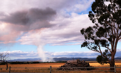 Rare cloud cover reaches the ground in Tasmania.